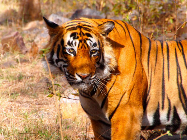 Kanger Valley National Park