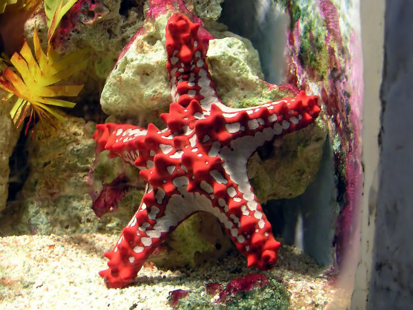 Marine National Park