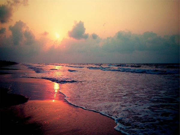 Watch The Rising Sun
