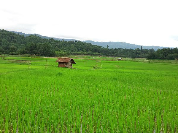 Ziro, Arunachal Pradesh
