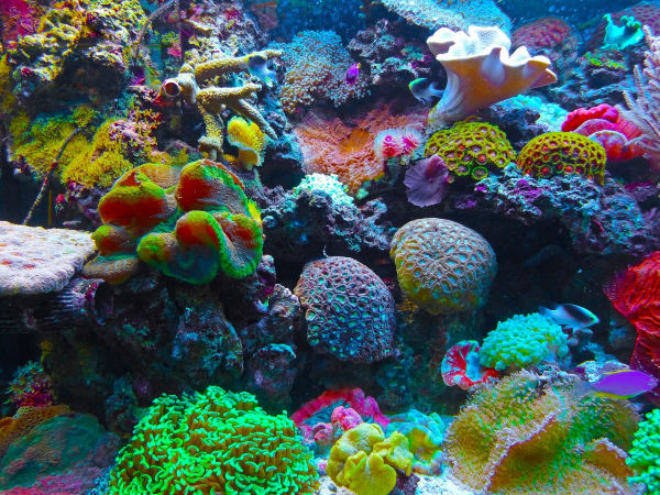 Andaman And Nicobar Islands