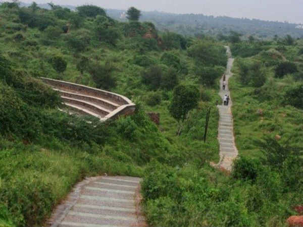 Aravali Bio-Diversity Park, Gurugram