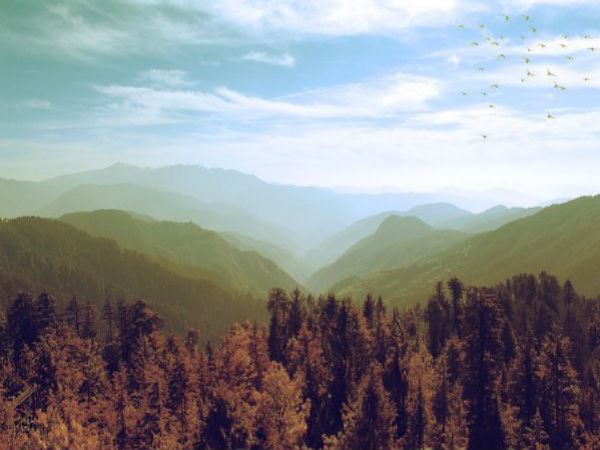 Shimla