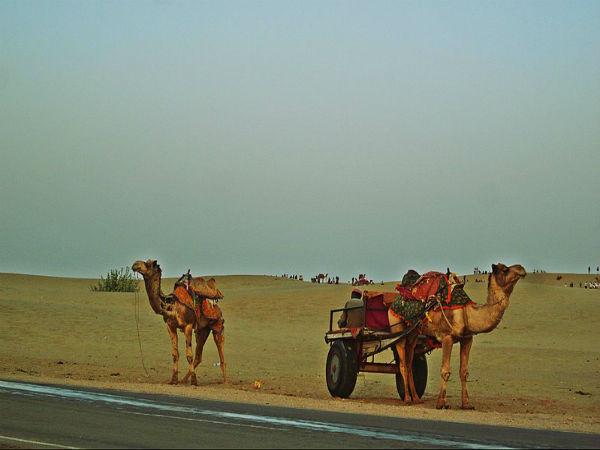 Jodhpur To Jaitaran