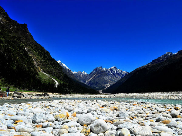 Yumthang Valley, Sikkim