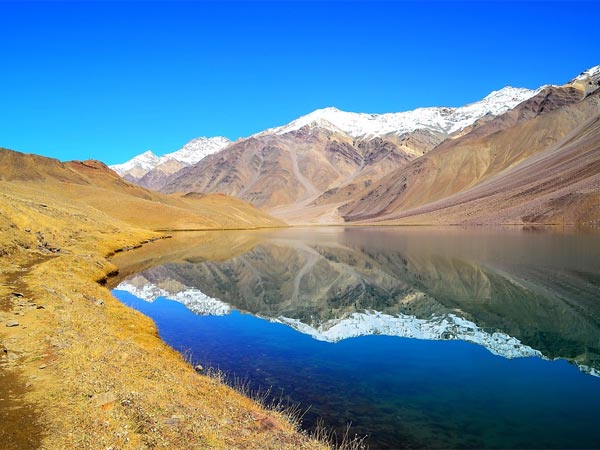Camping At Chandratal Lake