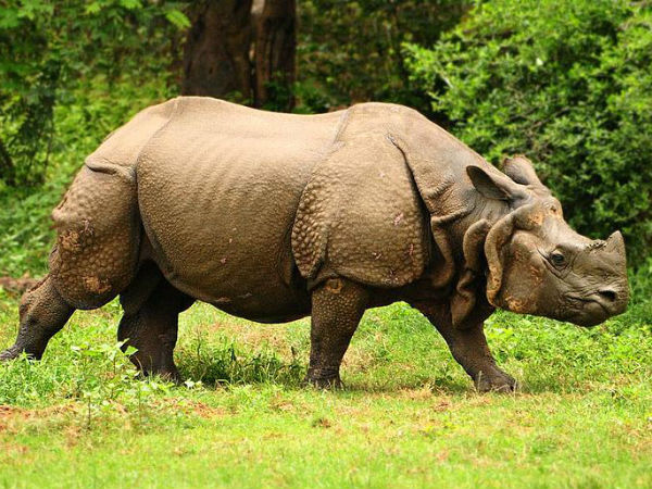 Explore Wildlife