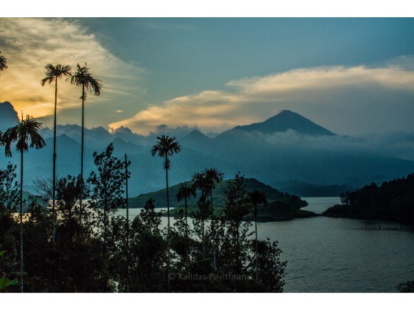 Wayanad