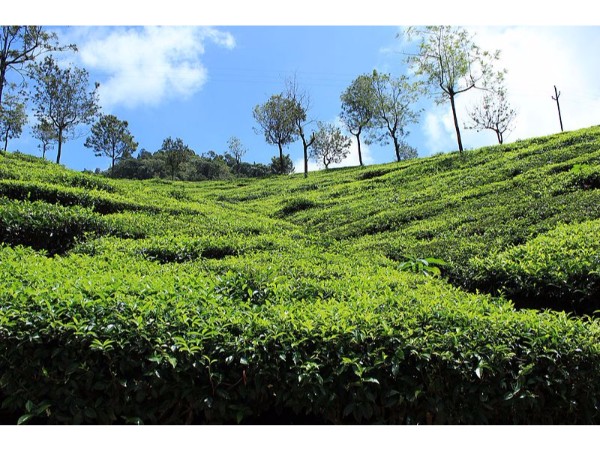 Coonoor