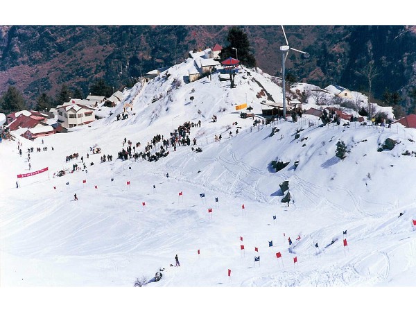 Auli