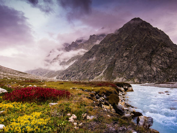Valley Of Flowers