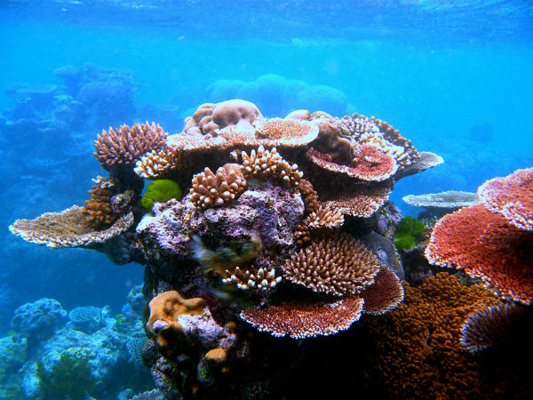 Lakshadweep