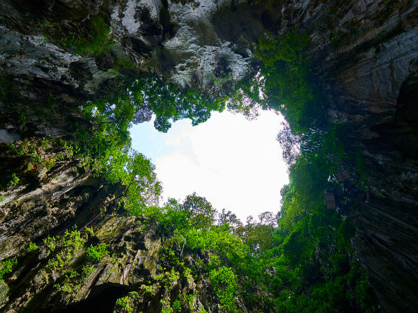 The Best Of Nature