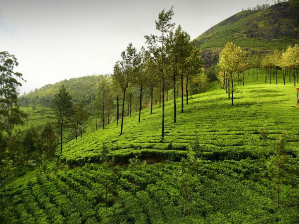 Munnar