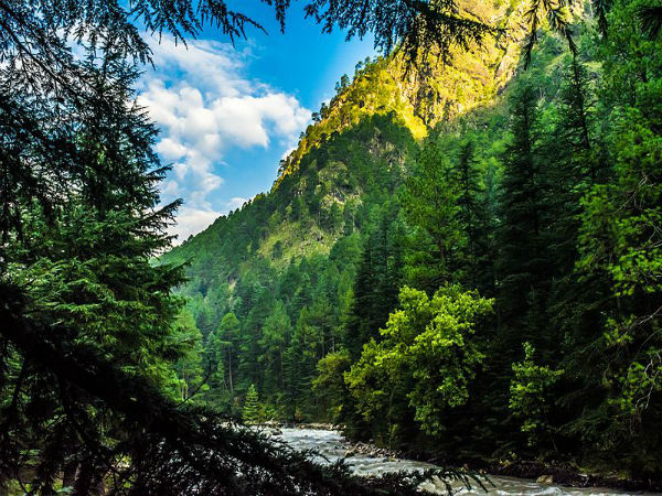 Tosh, Himachal Pradesh