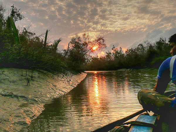 Sunderbans