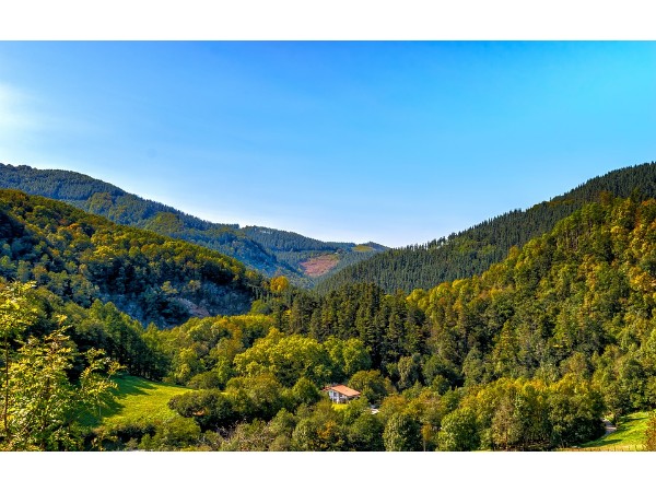 Silent Valley National Park