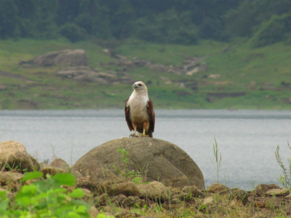 Chimmini Wildlife Sanctuary
