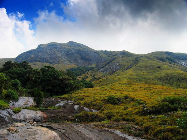 Mathikettan Shola National Park