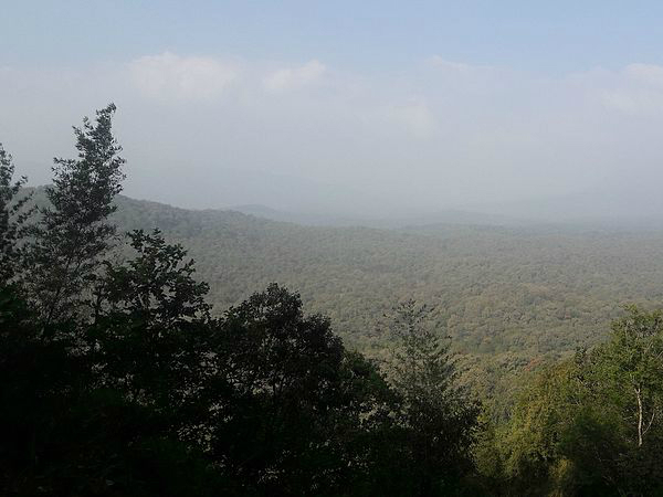 Anamudi Shola National Park