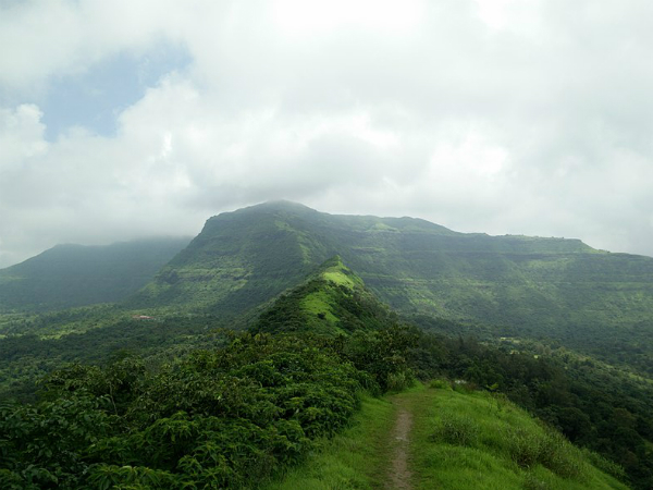 Tikona