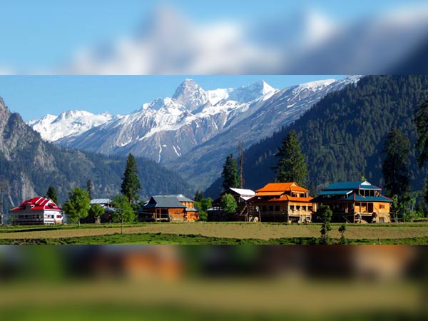 10. Patnitop