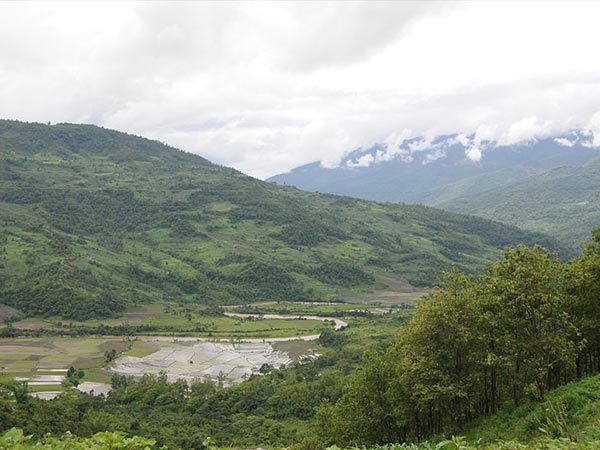 14. Kohima