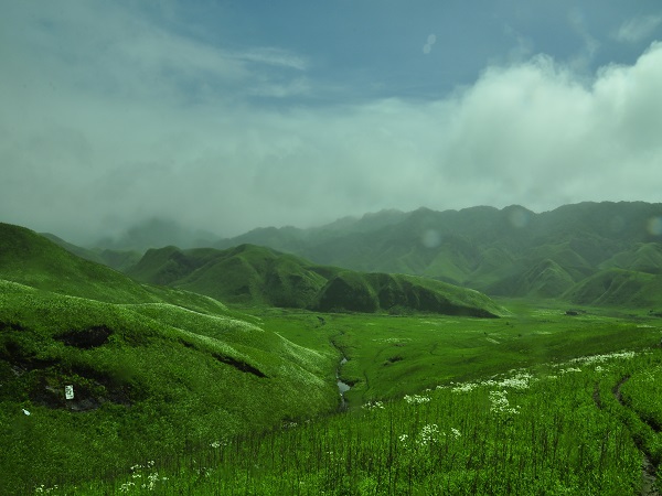 5) Dzukou Valley, Nagaland