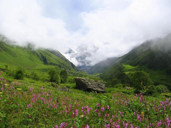 2) Valley Of Flowers, Uttrakhand