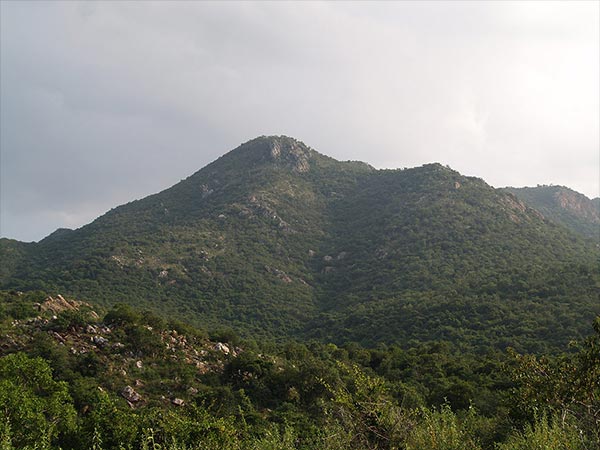 Best Time To Visit Nellore