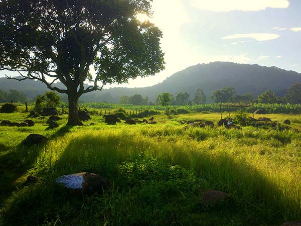 Best Time To Visit Yelagiri