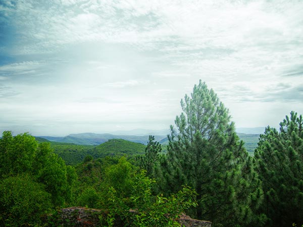 Best Season To Visit Tirupati