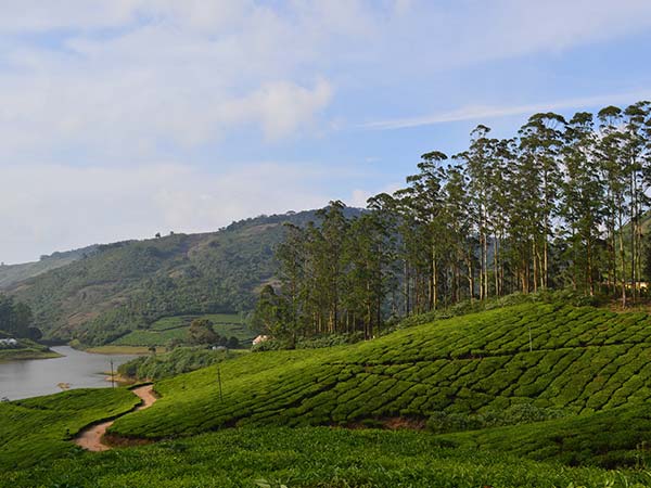Best Time To Visit Meghamalai