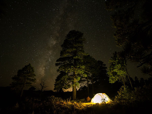 1. Go On A Night Trek