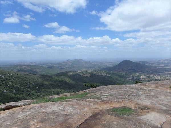 Best Time To Visit Horsley Hills