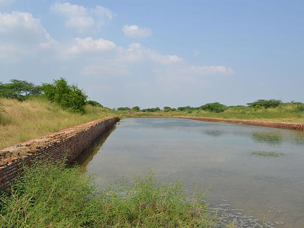 1) Lothal's Dock