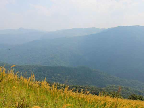 Chintamani