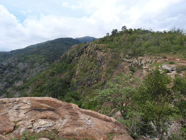 Gali Bandalu
