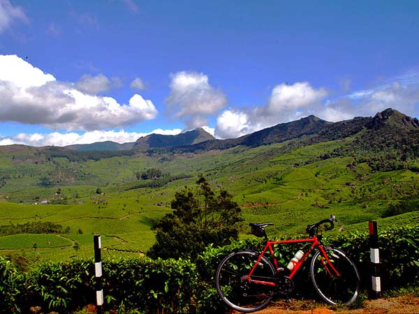 2) Munnar Tea Plantations, Kerala