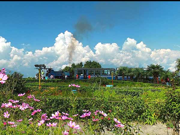 5) Darjeeling, West Bengal