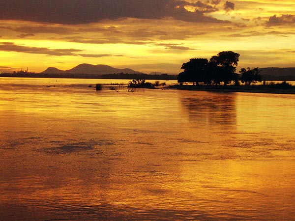5) Odisha