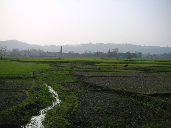 15) Tripura