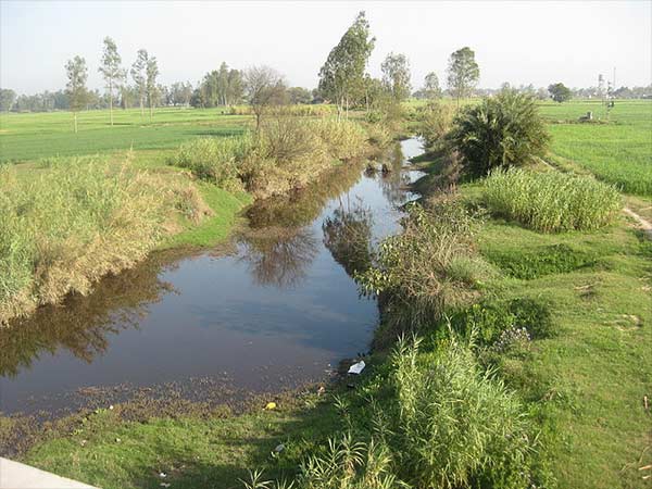21) Punjab