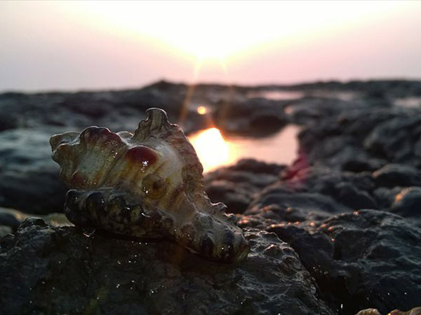 Best Season To Travel To Daman