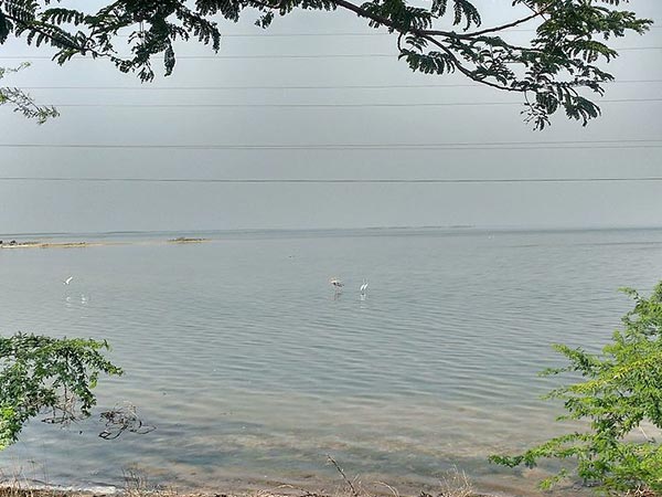 Pulicat Lake