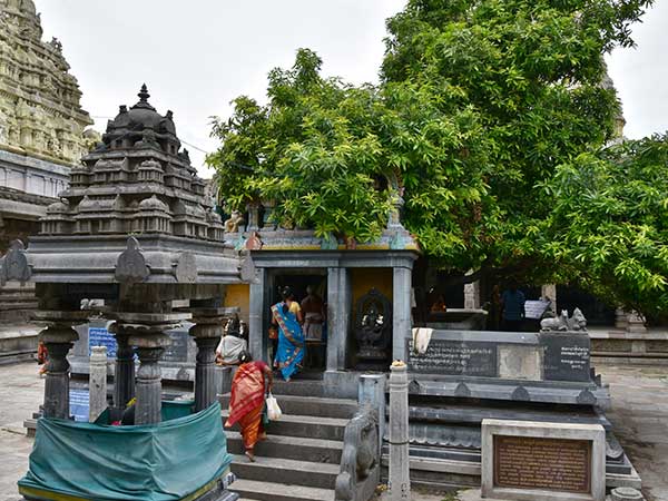 3) Kailasanathar Temple