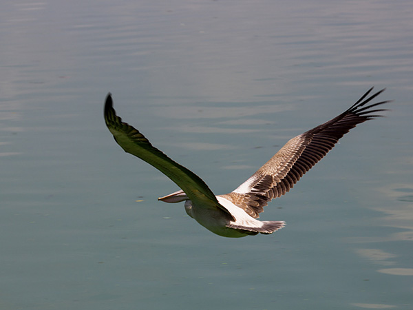 2) Photography