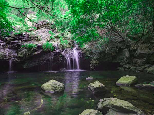 2) Nagalapuram Waterfalls