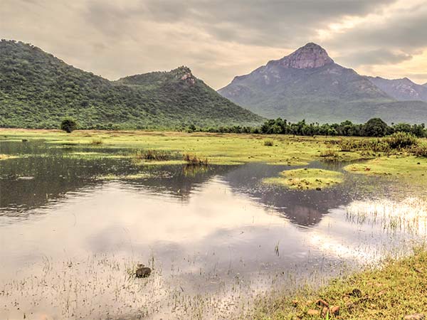 3) Nagalapuram Hills