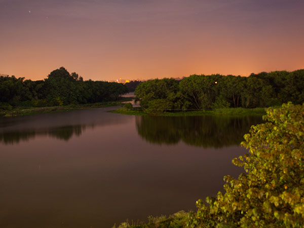 Hebbal Lake